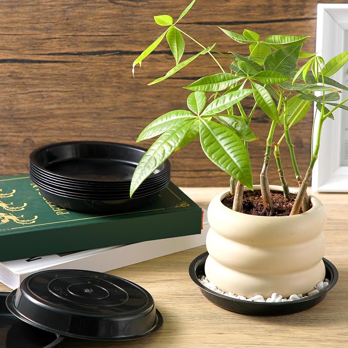 Eccliy 12 Pcs Plastic Plant Saucers Round Plant Tray Large Flower Pot Heavy Duty Planter Water Trays Thick Planter Drip Saucers for Indoors and Outdoors(6 Inch,Black)