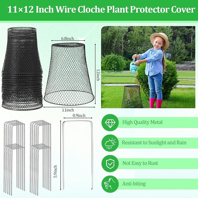 Therwen 10 Pcs Large Plant Wire Cloche 11 x 12 Inch Metal Garden Cloche with Garden Stakes Plant Protector from Animals for Keeping Bunnies Chicken Squirrels Birds (Black)