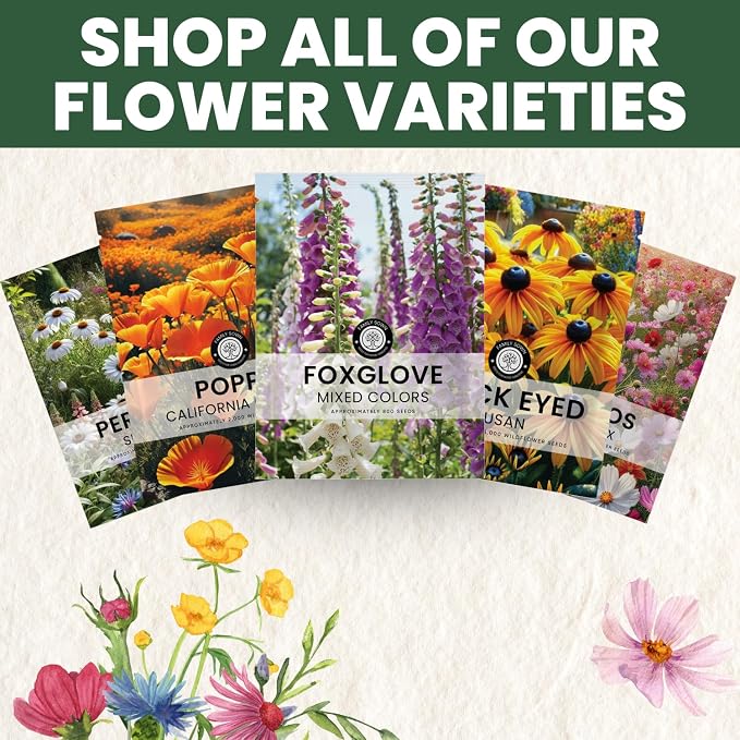 Foxglove Mixed Colors – 800 Seeds for Planting – 2026 Season – 5 Gram Pouch
