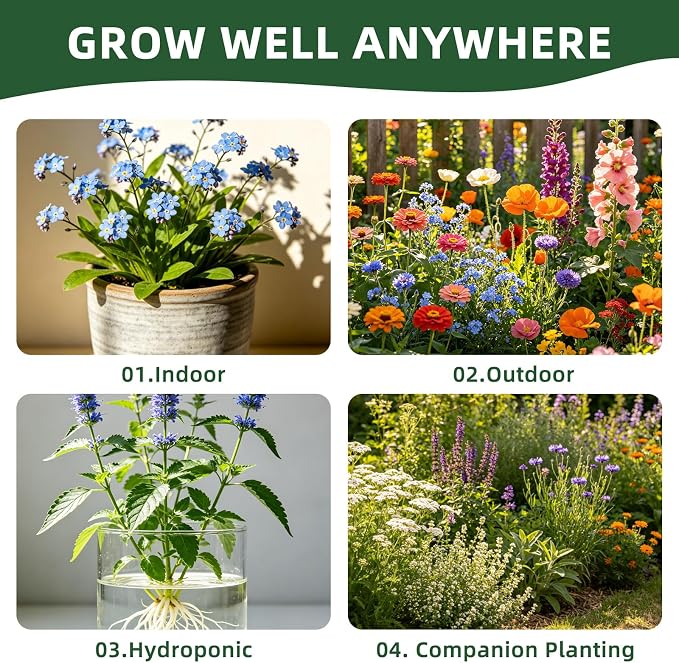30 Edible Flower Seeds Variety Pack, 13500+ Premium Garden Seed Vault Kit, Pollinator Friendly, Indoor & Outdoor Year Round Planting, Nasturtium, Lavender, Borage, Calendula, Chamomile & More