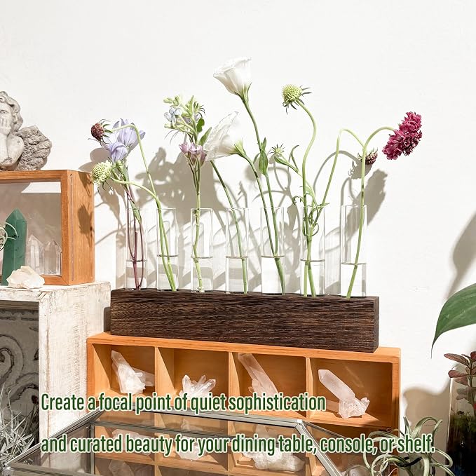KAXYEW Desktop Glass Plant Propagation Station Test Tube Plant Terrarium in Wooden Stand for Hydroponic Plants Cutting Office Home Decoration