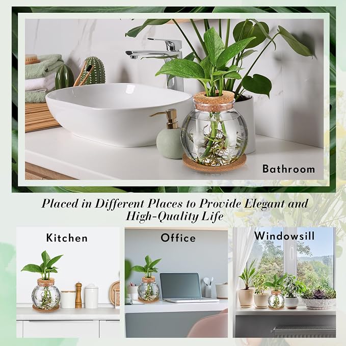 Baderke 12 Packs Propagation Vases for Plants Plastic Plant Propagation Station with Hole Lid and Cork Coasters Plant Growing in Water Hydroponic Home Office Table Decoration(Fish Bowl Style)
