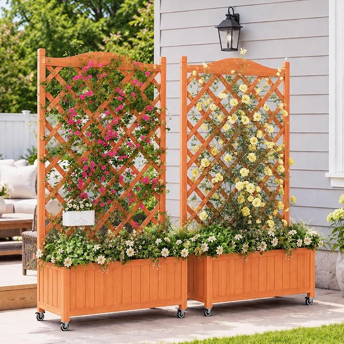 2 Pack Trellis Raised Garden Bed with Wheels, 50" Tall Wooden Planter Box with Trellis, Lattice Privacy Screen with Drainage Holes for Patio Balcony Garden