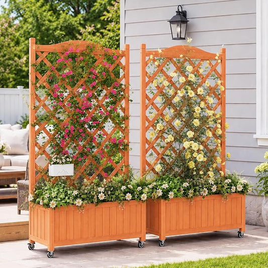 2 Pack Trellis Raised Garden Bed with Wheels, 50" Tall Wooden Planter Box with Trellis, Lattice Privacy Screen with Drainage Holes for Patio Balcony Garden