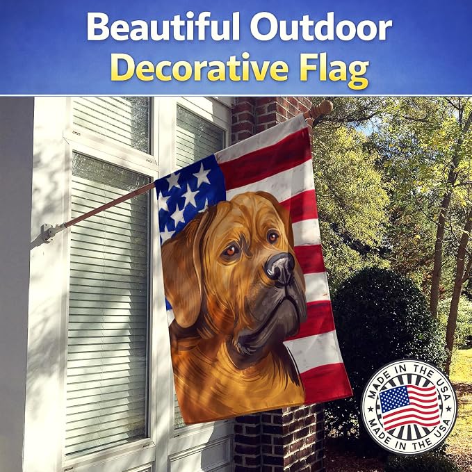 Caroline's Treasures CK6741CHF Tosa American Flag House Flag Large Porch Sleeve Pole Decorative Outside Yard Banner Artwork Wall Hanging, Polyester, House Size, Multicolor