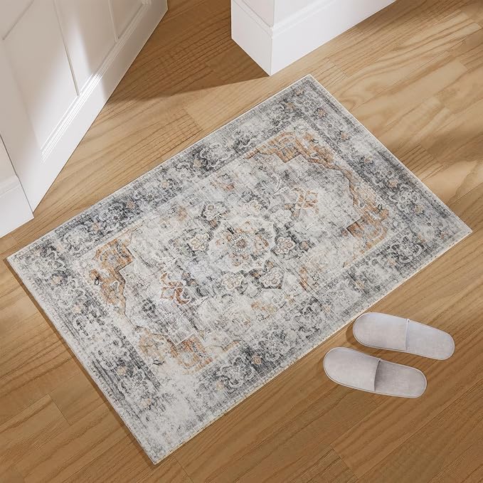 2x3 Small Area Rugs for Entryway: Washable Rug Non Slip Door Mat Indoor Entrance Soft Low Pile Throw Rugs for Inside Front Door Floor Entry Bedroom Bedside Kitchen Nursery Dorm Home Office