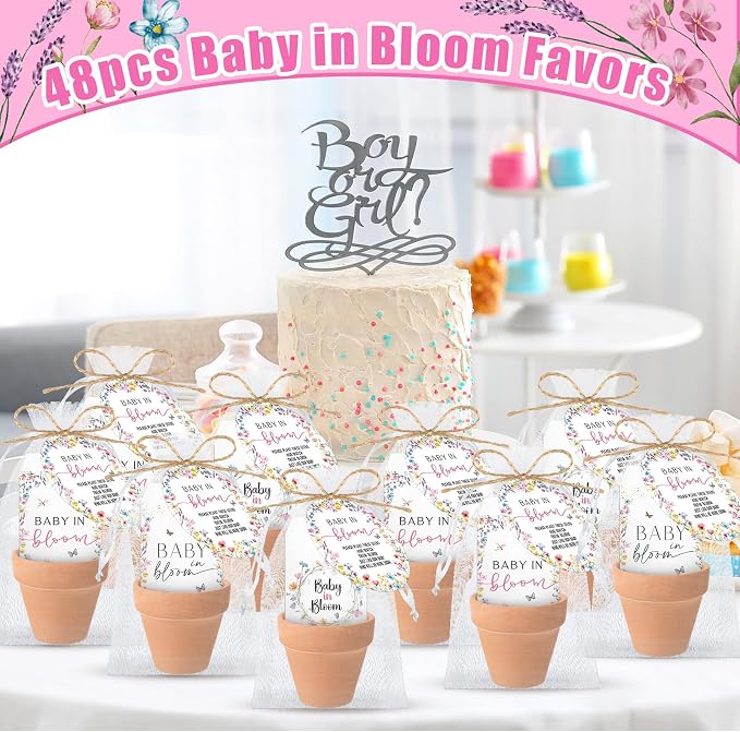 Reallnaive Baby Shower Party Favors Baby in Bloom Envelopes Seed Packets Include 48 Mini Terracotta Pots Seed Packets 48 Self Adhesive Envelopes Thank You Tags Gifts for Party
