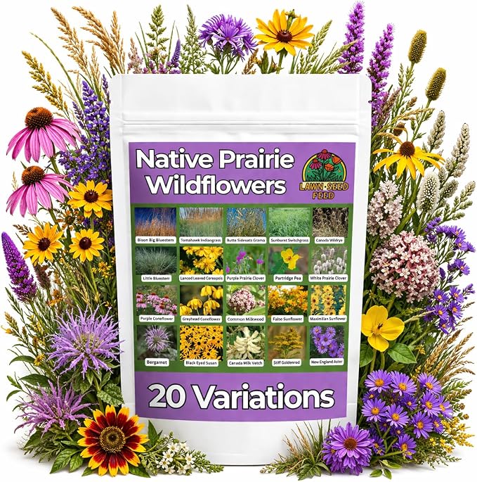 Native Prairie Mix (2oz) Restores Your Landscape with Authentic Prairie Blooms. Tough, Low-Maintenance, and pollinator-Friendly—Plant Once and Enjoy Natural Color All Season!