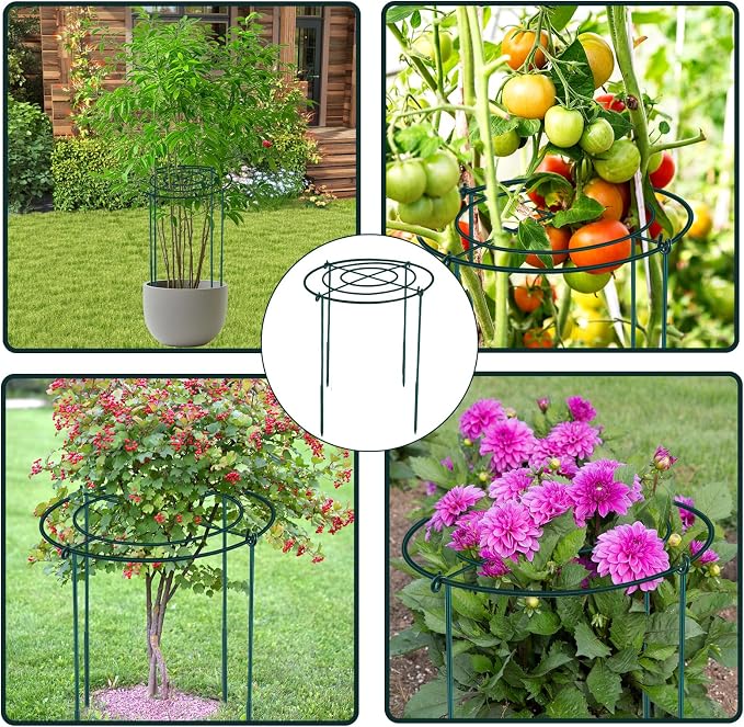3Set Metal Peony Grid Cages, 30"H X 13"D Large Flower Support Cages Grow Through Hoop Ring Peony Stakes Garden Plant Support Rings Heavy Duty Plant Braces Peonies Structure for Outdoor Plants Blossoms