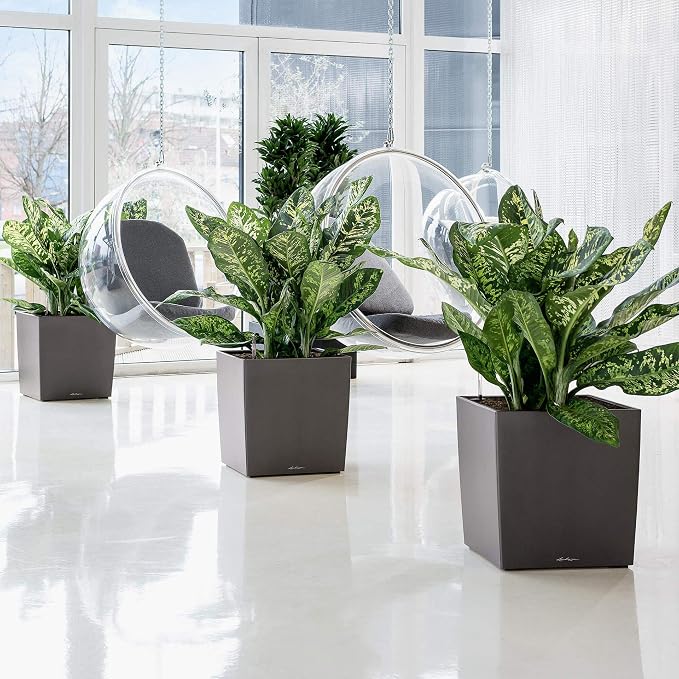Lechuza Cube 50 Premium Shimy Taupe High Gloss, Self-Watering Square Planter, H19.3 L19.3 W19.3 in