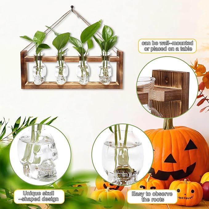 Plant Propagation Stations Halloween Skull Plant Terrarium Kit | Glass Vases Gift for Father Air Planter Home Office Decor
