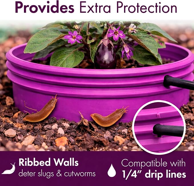 7 inch Solid Planting Grow Rings | 12 Pack Purple | One-Piece Design for Deep Root Watering Veggies, Herbs & Flowers | Mulch & Soil Barrier | Deter Slugs and Cutworms | Heavy Duty | Made in USA