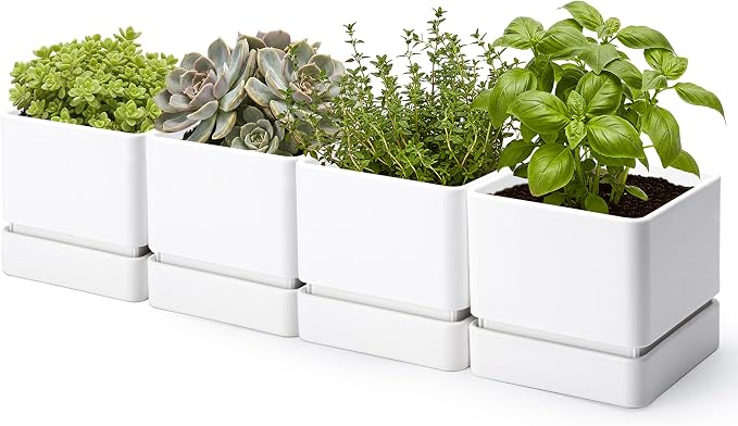 D'vine Dev 6 Inch Herb Planter Pot, Plastic Planter with Drainage Holes and Saucer, Modern Decorative Gardening Pot for Indoor Plants, Flowers, Herbs, Succulents, White, Set of 4, 76-Y-A4-2