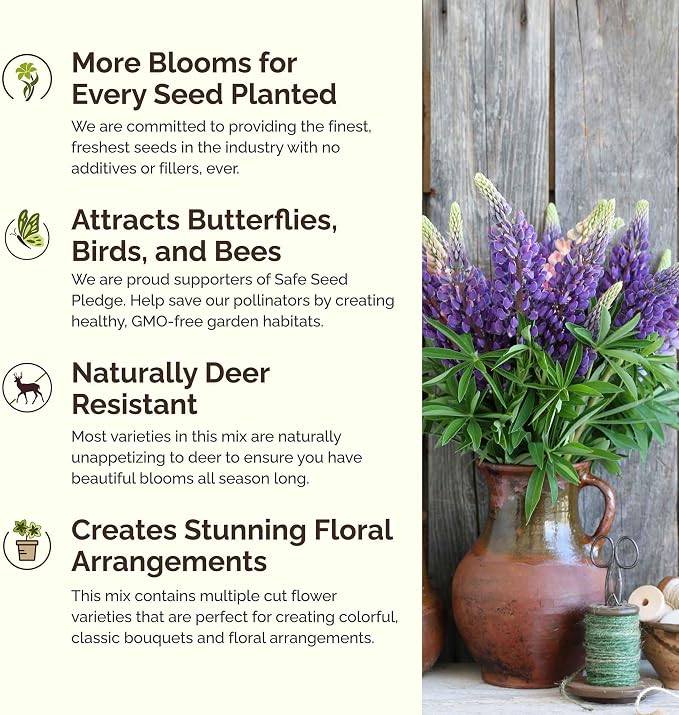 Eden Brothers Texas Wildflower Mixed Seeds for Planting, 5 lb, 2,400,000+ Seeds with Cornflower, Birds Eyes, African Daisy, Attracts Pollinators, Plant in Spring or Fall, Zones 3, 4, 5, 6, 7, 8, 9, 10