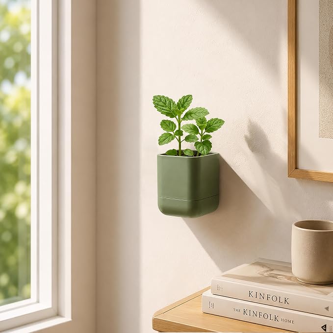Phoenix Vine 3.5 Inch Wall Mounted Self-Watering Planter Pot for Indoor Houseplants and Herbs | Hanging Planter for Window Sills, Bathroom Walls, Home & Office Décor, Olive, Set of 2, 01-A-F-2