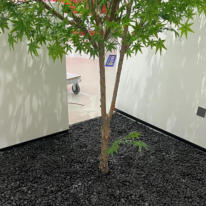 FANTIAN 10 Pounds Natural Black Pebbles Rocks for Plants– 2-3 Inch Ornamental Black River Rocks for Garden Landscaping Home Décor Yard Paving Fountain and Outdoor Decorative Black Stones