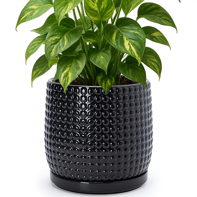 D'vine Dev 8 Inch Ceramic Beaded Stoneware Planter Pot - Flower Pot with Drainage Holes and Saucers for Indoor Succulent Plants or Flowers, Glossy Black, 27-C-Q-2
