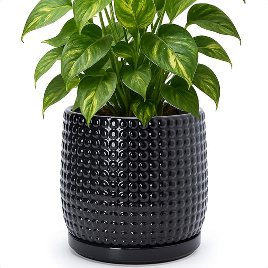 D'vine Dev 8 Inch Ceramic Beaded Stoneware Planter Pot - Flower Pot with Drainage Holes and Saucers for Indoor Succulent Plants or Flowers, Glossy Black, 27-C-Q-2