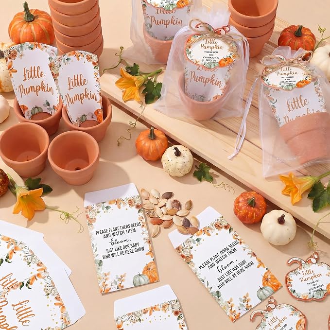 Reallnaive Little Pumpkin Baby Shower Party Decorations Set Include 24 Mini Terracotta Pots Seed Packets 24 Self Adhesive Envelopes Pumpkin Shape Tags Gifts for Fall Autumn Thanksgiving Baby Shower