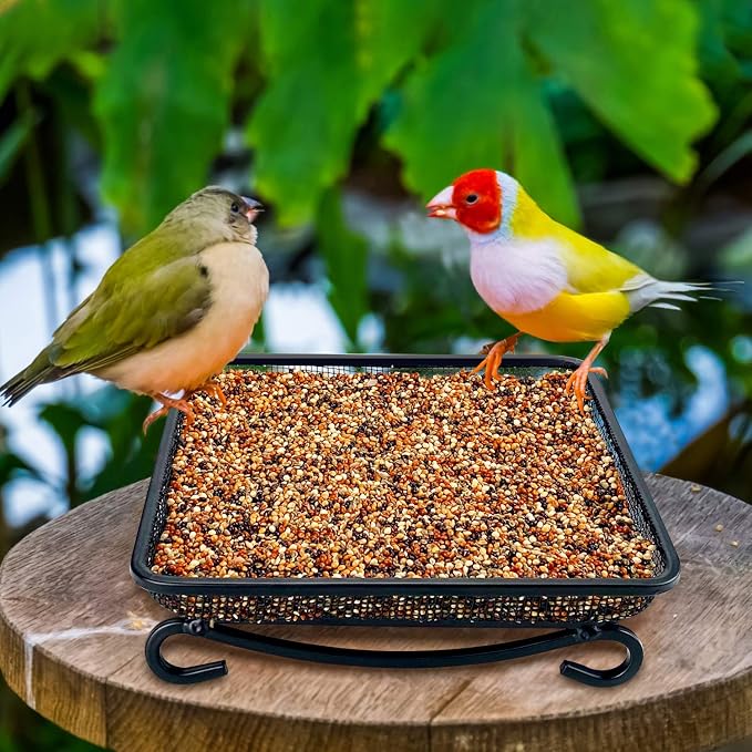 MIXXIDEA Ground Platform Bird Feeder Metal Seed Tray for Outside Garden Wild Bird Feeders with Drainage Holes Great Attracting for Birds and Squirrels, Wonderful Decoration for Backyard – Pack of 2