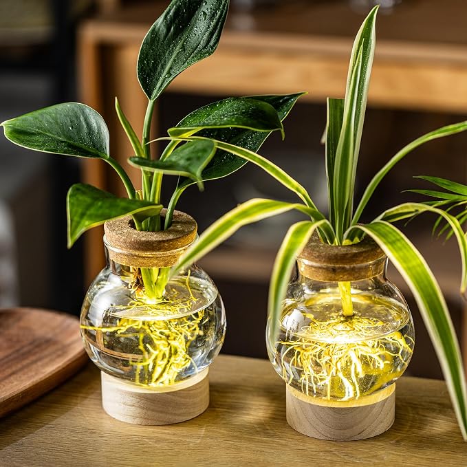 Propagation Stations, Plant Propagation Station with Light Base, Glass Propagation Vases, Hydroponic Vase for Plants, Glass Terrarium for Home Office Windowsill Tabletop Decoration (3)
