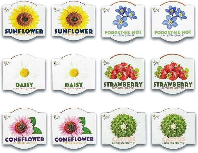 BUZZY Seeds Mini Terracotta Grow Kit, Assorted 12-Pack - Mini Terracotta Pot Grow Set - 100% Grow Guarantee