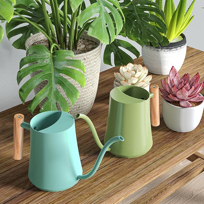 Green Moon 1L/35oz Metal Watering Can Indoor with Long Spout, Sage Green | Metal Stainless Steel Watering Can with Wood Handle for Indoor Plants, House Bonsai, Succulents, and Outdoor Garden Flowers