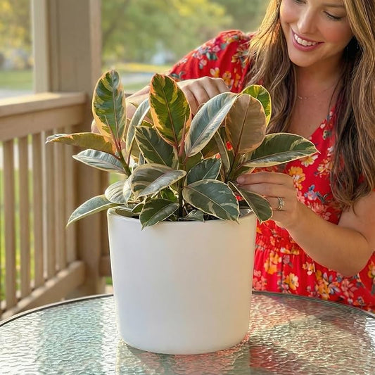 Willowy 9 Inch Matte White Ceramic Planter with Drainage - Ceramic Plant Pots for Indoor, White Indoor Planter, Flower Pot, 9 Inch Plant Pot