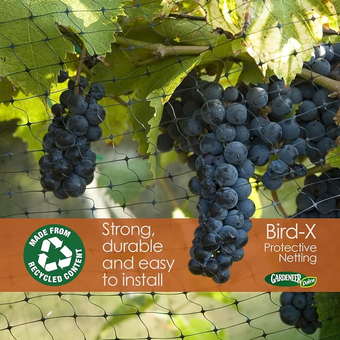 Dalen Bird-X Protective Mesh Netting for Fruit Trees, Berries, Vegetables - 7 ft x 20 ft, Black Garden Netting, 5/8-inch Mesh - Helps Deter Birds & Garden Pests, Made of Weather-Resistant Plastic