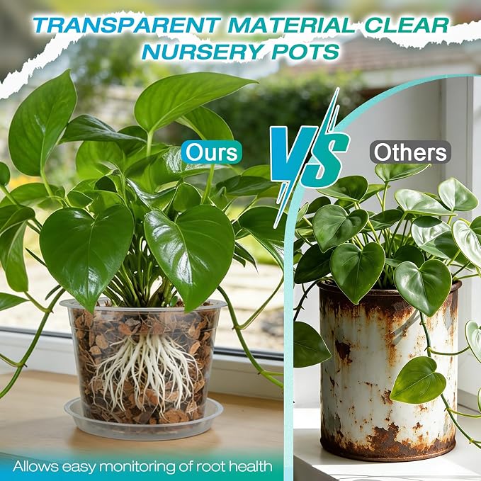 8 Inch Clear Nursery Pots with Drainage and Sacuers, 8 Pack Plastic Pots for Plants Indoor Outdoor, Large Clear Pots for Flowers, Succulents (8inx8pcs)