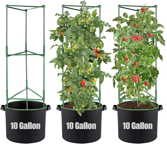 ANPHSIN Sturdy Triangle Tomato Cage with Movable 10 Gal Grow Bags - 3 Sets 47'' Plants Garden Trellis Planters, Support for Indoor Outdoor Beans, Peppers, Eggplants, Climbing Vegetables