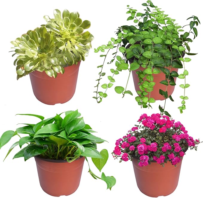 HOSTIC 7 Inch Nursery Pot Seedling Pot Plant Container Seed Starting Pots Multipurpose Plastic Pots 100 Packs