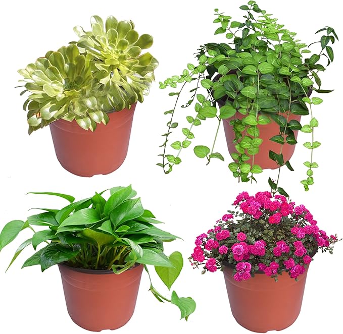 HOSTIC 9.4 Inch Nursery Pot Seedling Pot Plant Container Seed Starting Pots Multipurpose Plastic Pots 100 Packs