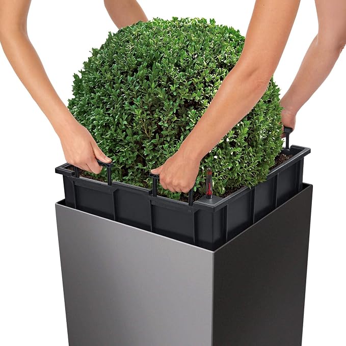 Lechuza Cube 50 Premium Black High Gloss, Self-Watering Square Planter, H19.3 L19.3 W19.3 in