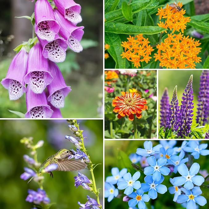 Groundio Wildflower Seeds, 2 OZ, 100,000+ Seeds, 28 Varieties Annual & Perennial Wild Flower Seeds Mix, Attracts Bees, Butterflies & Birds, Colorful Flowers Seed to Plant Outside