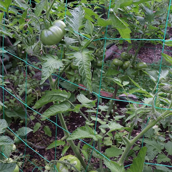 Trellis Netting for Climbing Plants - Heavy Duty Garden Trellis Netting for Cucumber, Vine, Fruits & Vegetables Tomato Plants Trellis Net, Climbing Vining Plants (1-Pack 24.6' x 6.6'Ft)