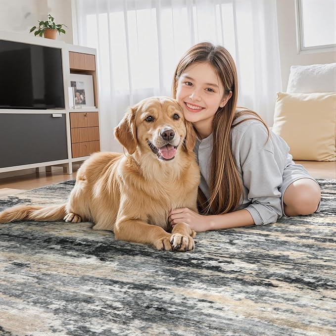 Tangsoo Abstract 3x5 Area Rug, Grey Washable Non Slip Indoor Rugs, Modern Accent Rug Print Small Carpet, Contemporary Soft Low Pile Rugs for Living Room Dorm Bedroom Bedside Entryway Office