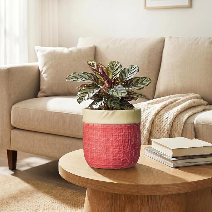 6 Inch Pots for Plants, Ceramic Planter, Round Flower Pots, Red | Boho Planter with Drainage Hole, Decorative Plant Pot for Indoor Plants, Office Desk Decor, Gardening Gifts for Women