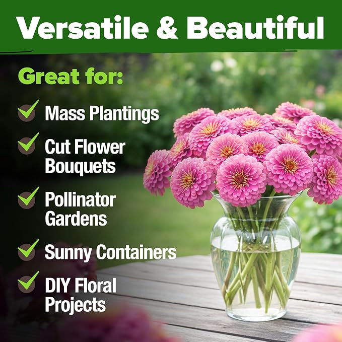 HOME GROWN Pink Zinnia Seeds – 4,500 Luminosa Zinnias, Easy to Grow Annual Flower Seeds for Planting Outdoors for 2026, Fast Blooming, Heat Tolerant Herb Seed Garden Companion (Zinnia elegans)