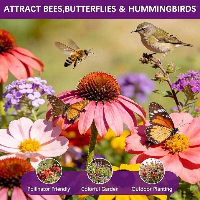 Wildflower Seeds Mix 1/2 lb, 19830+ Seeds Perennial& Annual 36 Varieties Flower Seeds for Planting，Non-GMO Heirloom Bulk Wild Flower Seeds for Indoor & Outdoors, FlowerSeed Packets for Home Garden