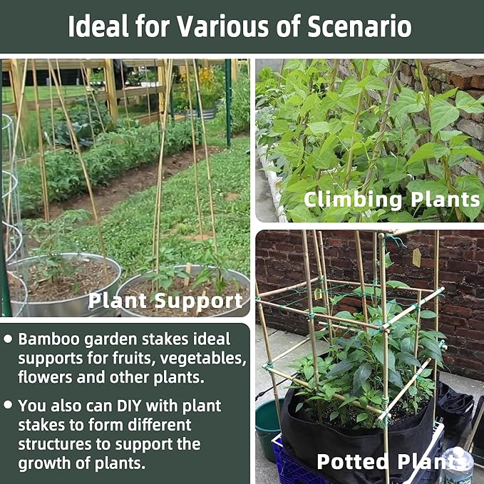 30Pcs / 7ft Bamboo Plant Stakes for Indoor Outdoor Plants, Garden Plant Support Sticks, Poles for Tomato Vegetables Beans Trees Potted Climbing Plants(0.32''-0.4'')