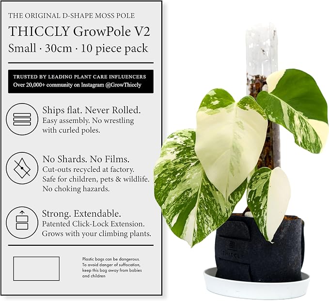 THICCLY V2 GrowPole Small 10 Pcs – Patented D-Shape Moss Pole for Climbing Plants, Moisture-Locking Closed Back, Stackable Extendable Support for Monstera, Philodendron, Pothos & Anthurium
