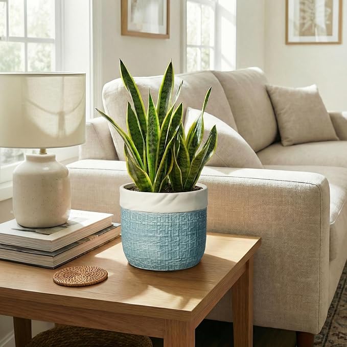 Ceramic Planter - 8 Inch Plant Pot for Indoor Outdoor Plants, Boho Planters with Drainage Hole and Plug, Round Decorative Flower Pots, Garden Home Office Decor, Plant Lover Gifts, Blue
