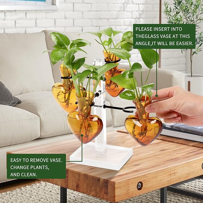 Plants Propagation Stations Plant Terrarium Kit Gift for Women | Birthday Glass Planters For Indoor Plants Home Office Decor Acrylic Plant Accessories - 4 Love Hear Vase