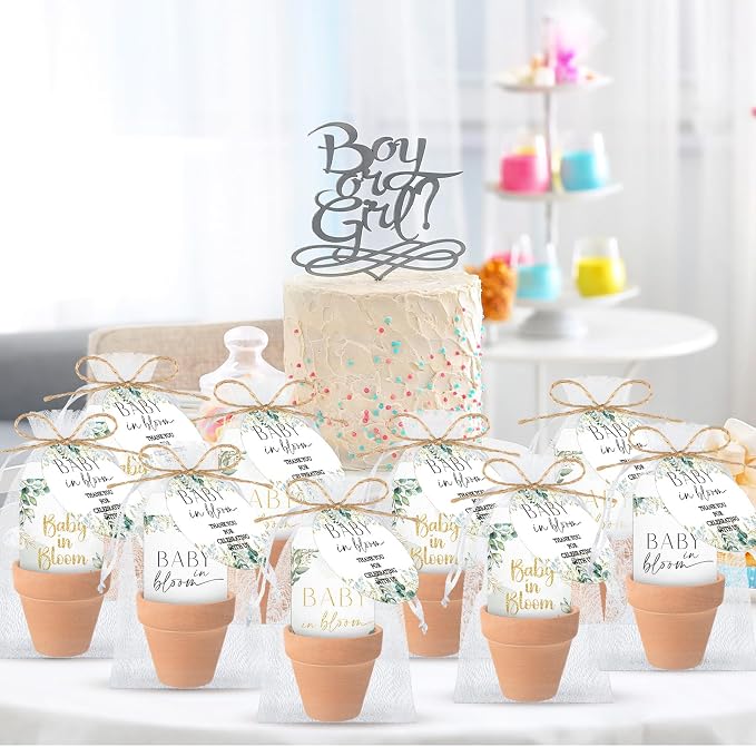 Reallnaive Baby Shower Party Favors Baby in Bloom Envelopes Seed Packets Include 24 Mini Terracotta Pots Seed Packets 24 Self Adhesive Envelopes Thank You Tags Gifts for Party(Greenery)