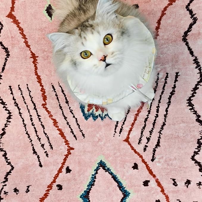 jinchan 2x3 Hot Nerd Rug Modern Boho Geometric Washable Entryway Rug, Pink | Abstract Pattern, Moroccan Inspired, Artistic Lines, Washable, Soft Texture, Non-Slip, Low Pile, Bedroom, Study Room