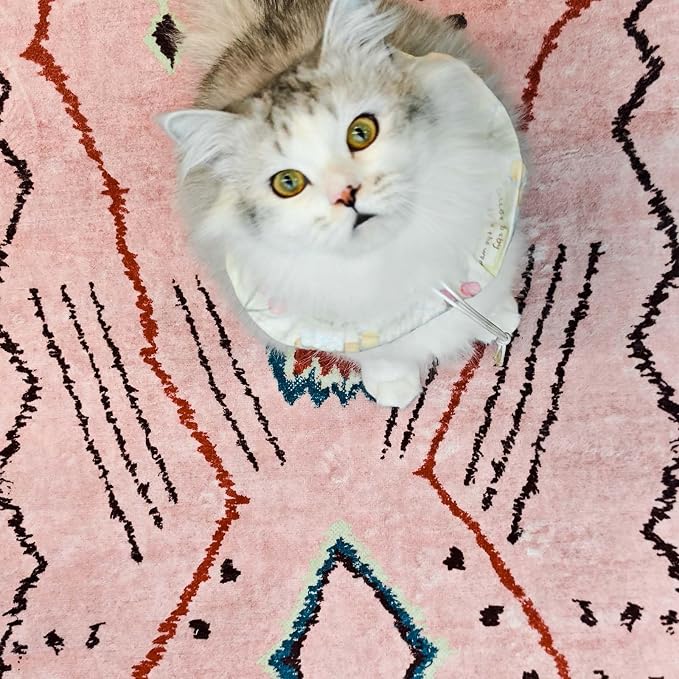 jinchan 5x7 Pink Hot Nerd Rug Modern Boho Geometric Washable Bedroom Rug | Moroccan Inspired, Artistic Pattern, Colorful Details, Washable, Soft Touch, Non-Slip, Low Pile, Living Room, Dining Room