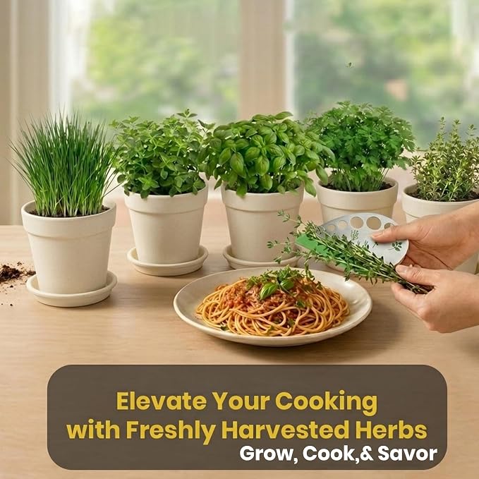 47 PCS Herb Garden Seeds Starter Kit, 10 Non-GMO Culinary Herb Seeds with Beige Pots & Planters for Windowsill, Herb Growing Kit Indoor & Outdoor, Unique Herb Garden Gift Set for Gardening Lovers