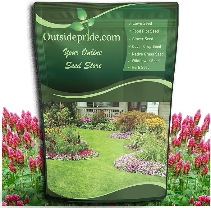 Outsidepride Crimson Clover Seeds - 2 lbs. Annual, Nitrocoated, & Inoculated Ground Cover Seeds, Ideal Clover Seed for Lawn, Cover Crop, Pasture, Hay, Green Manure & Wildlife Forage