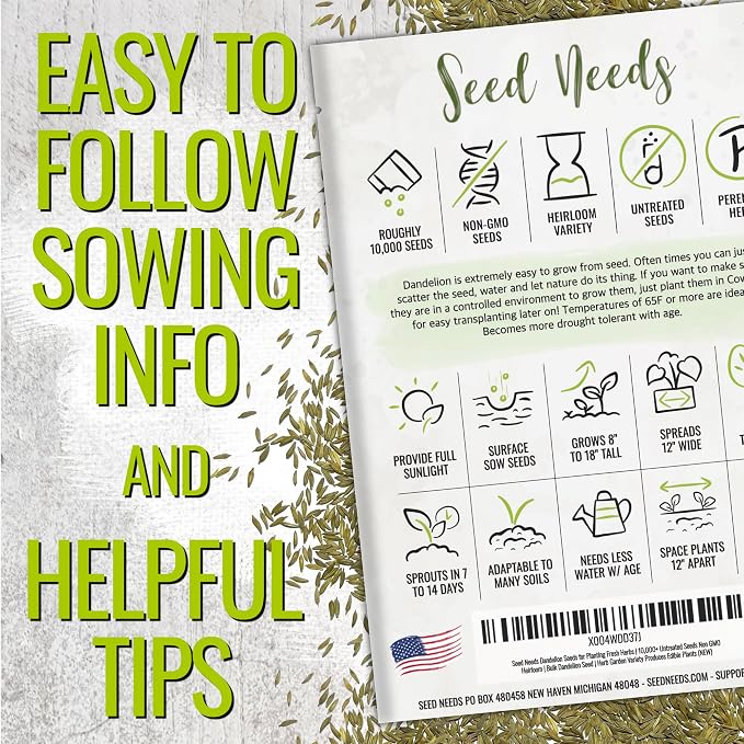 Seed Needs Dandelion Seeds 10,000 Herb Seeds Non GMO Bulk Pack